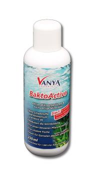 Vanya BaktoActive